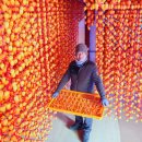 지리산곰실곶감농원 이미지