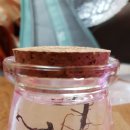 금성수족관 이미지