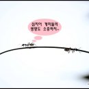 토론하는아이들학원 - 평택시 용죽2로 32-45 | 토론하는아이들학원