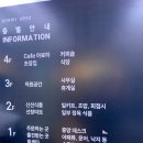 선창 | 선창수산 본점 후기 (방어, 도다리, 오징어, 연어 등)