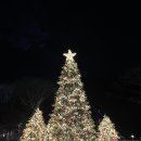 서울플란트치과의원 이미지