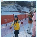 용인대 참 태권도장 이미지