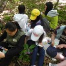 화봉초교 이미지