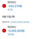 레드와이어 레버리지, RDWU 손절의 아픔. 26년 수익 모두 반환. 다시 시작!
