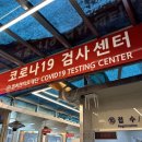 해외 출국용 PCR 검사 서울 씨젠의료재단 본원 이용후기(비용, 준비물, 예약방법)