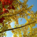 진주농장 이미지