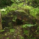 자연그리 이미지