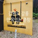 안목있는 춘향 이미지