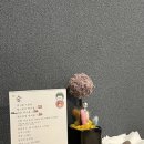 일식당조커
