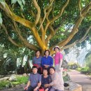 참좋은친구들 이미지