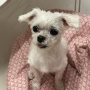 너랑 온 이미지