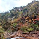 설악산 주전골 단풍 스케치 이미지