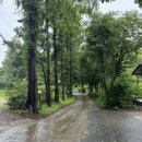 영인한의원 | 서울 근교 용인 분위기 좋은 카페 :: 카페 플로우 :: 숲속 힐링 카페 가볼만한 곳 (카페 여시관)