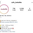 룩어라이크