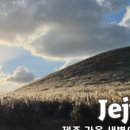 두근두근하우스 in 성산 이미지