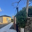 냥클래스 | 제주 프라이빗 힐링 요가 '요가낙'에서의 원데이클래스 후기