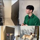 살롱에이치 | 송탄미용실 새로운 스타일을 찾아서: 휴에이치헤어살롱 송탄지산점 방문 후기