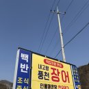내고향풍천장어 | 강촌 내고향풍천장어 춘천한우도 맛있어요