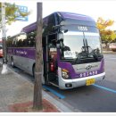 삼정고속관광 이미지