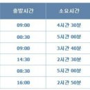 배표천국