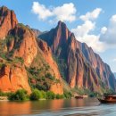 생명의 기쁨 이미지