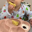 tgm 티지엠 조가비 흡착식판 사용후기