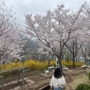 침산공원 이미지