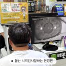 영휘원사거리 굿안경원 앞 | 울산 시력검사잘하는 안경원 정밀시기능검사 레몬트리안경원