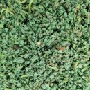 신둔체육공원 이미지