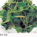 음식이야기 이미지