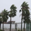 제주 와싱톤 이미지