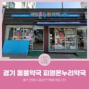 피영온누리약국 이미지