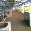 원당농장 이미지