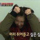 햅비