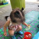 서창그린어린이집 이미지