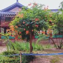 연못카페 이미지