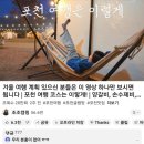 원우네 장작