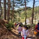 임계초등학교 병설유치원 이미지