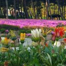 지리산정원 이미지