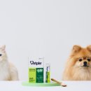 갑을동물병원 이미지