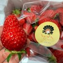 강동로5-37 이미지