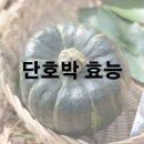 단호박 효능 및 효과 보관법 이미지