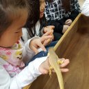 비룡초교병설유치원 이미지