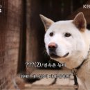 있어