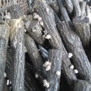 토종농장 이미지