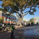 남해군청 이미지