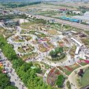 장미의거리3 이미지