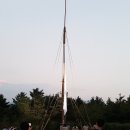 페트롤