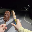 감포 바닷가 민박 펜션 이미지