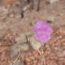 관문사거리 이미지